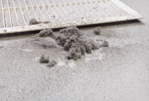 Best Air Duct Cleaning Near Me  in Missouri Valley, IA